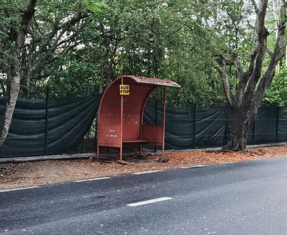 蒙舒瓦西海滩-蒙特乔伊喜必去景点