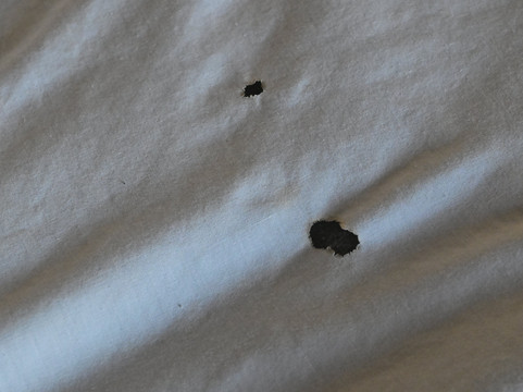 温彻斯特速8酒店主图