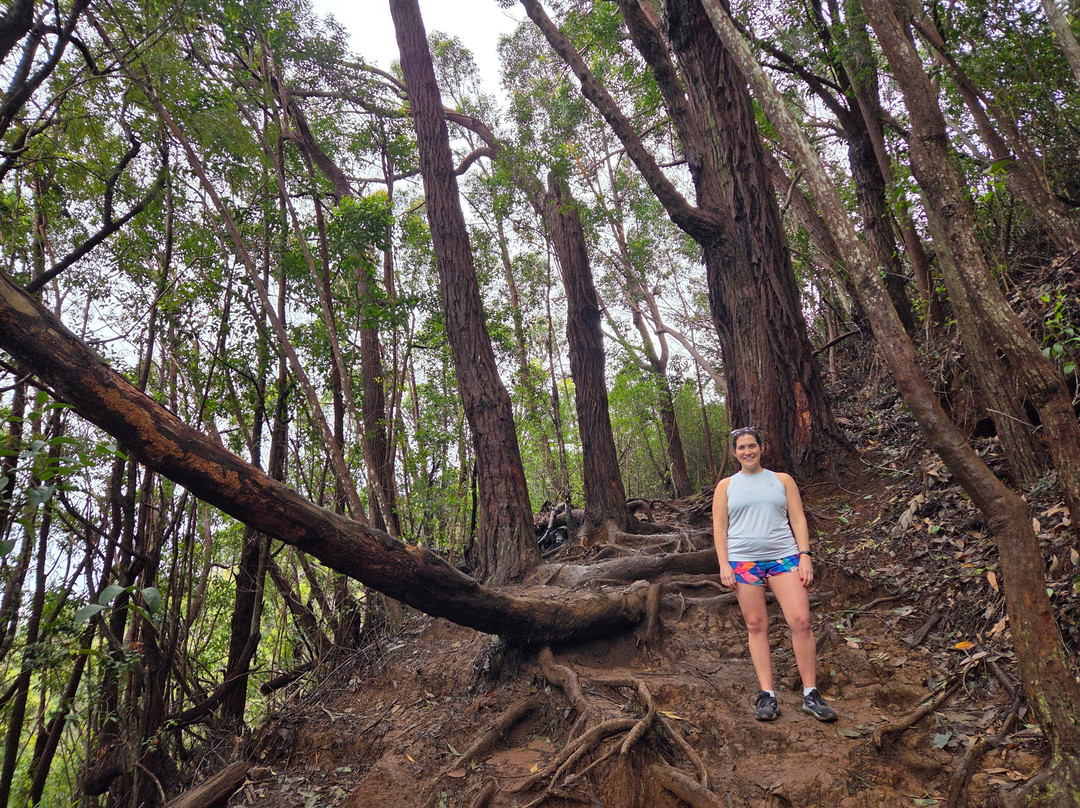 峡谷小道-威美亚必去景点