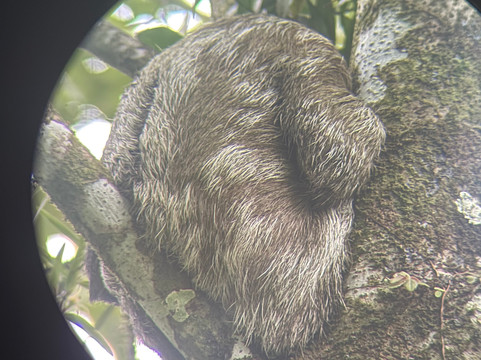 NexusTours-圣何塞必去景点