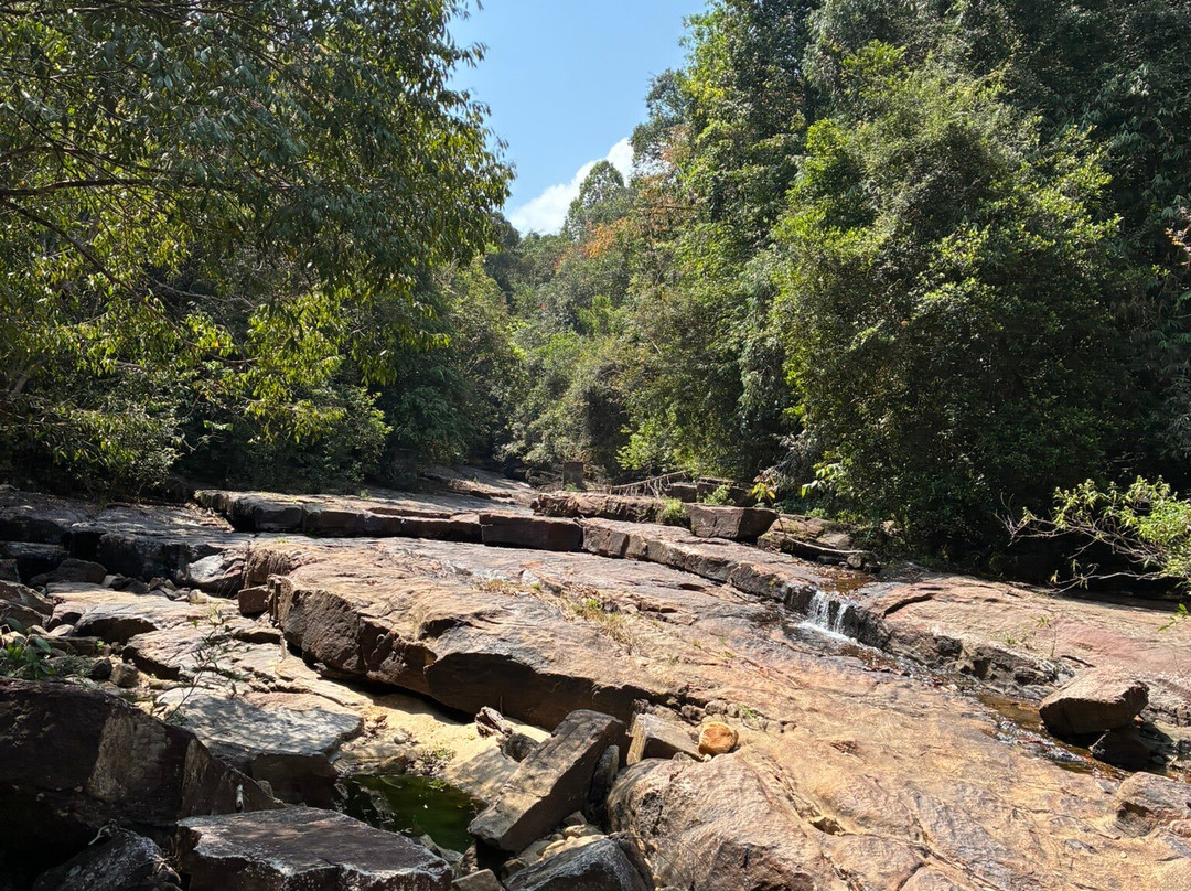 基图尔加拉雨林精品摩克沙主图