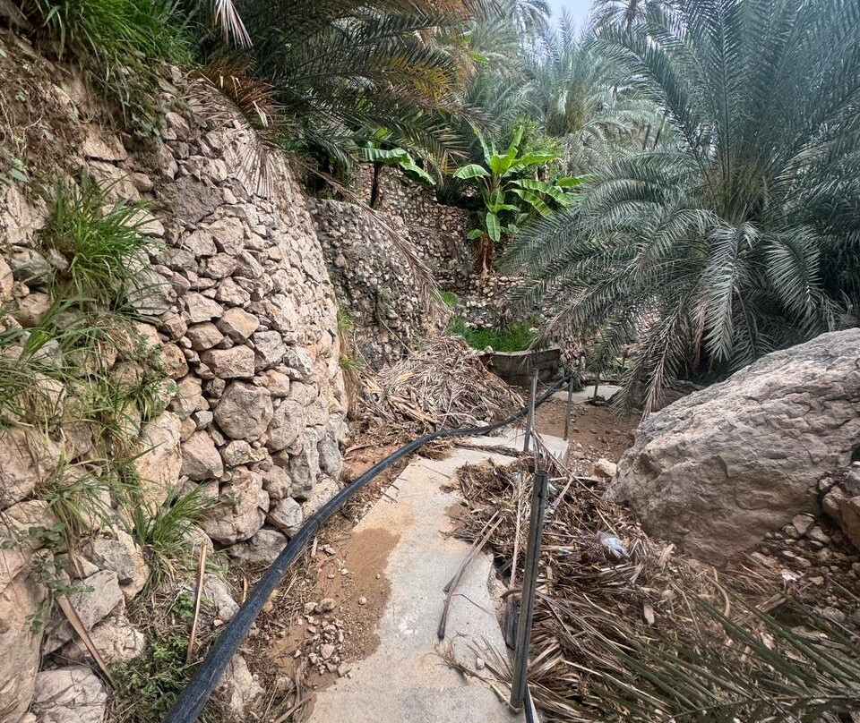 Wadi Tiwi-提维必去景点