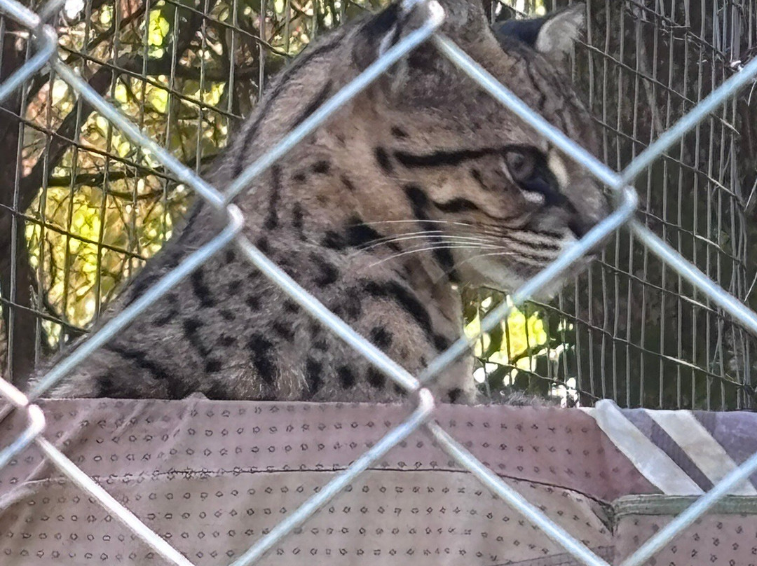 Refugio Zoologico-Samaipata必去景点