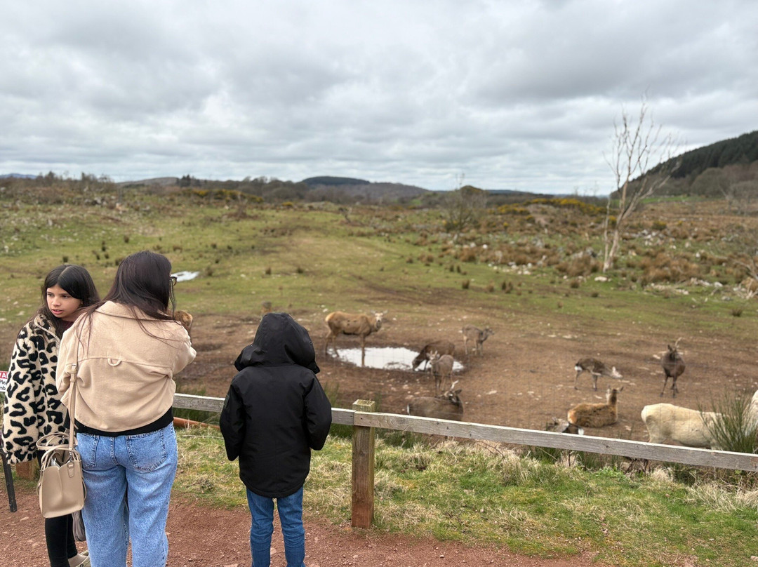 Bainloch Deer Park-Dalbeattie必去景点