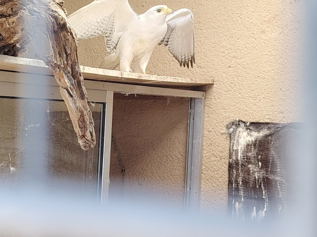 Parque Zoologico La Era las Aves-瓦拉多利德省必去景点
