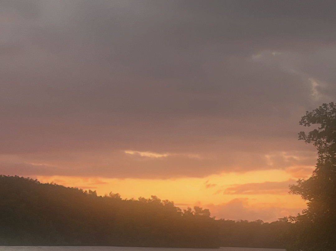 Nanan's Caroni Bird Sanctuary Tours-Caroni必去景点