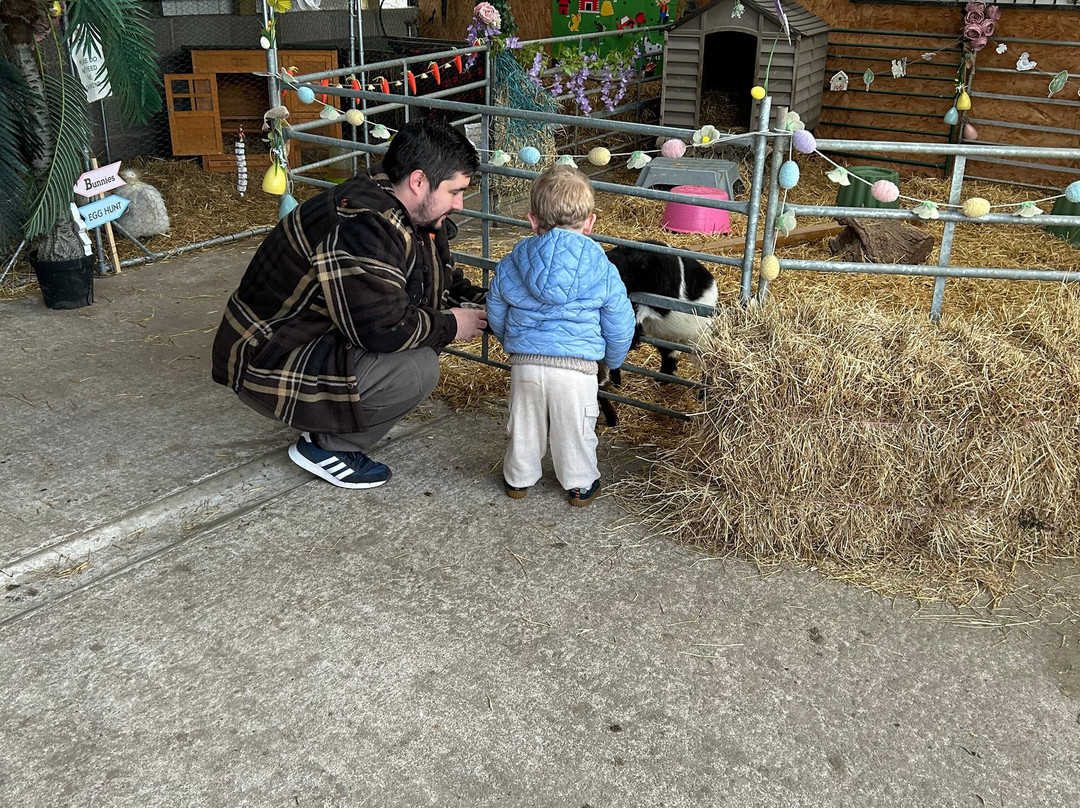 Woodlands Alpaca Farm-沃灵顿必去景点