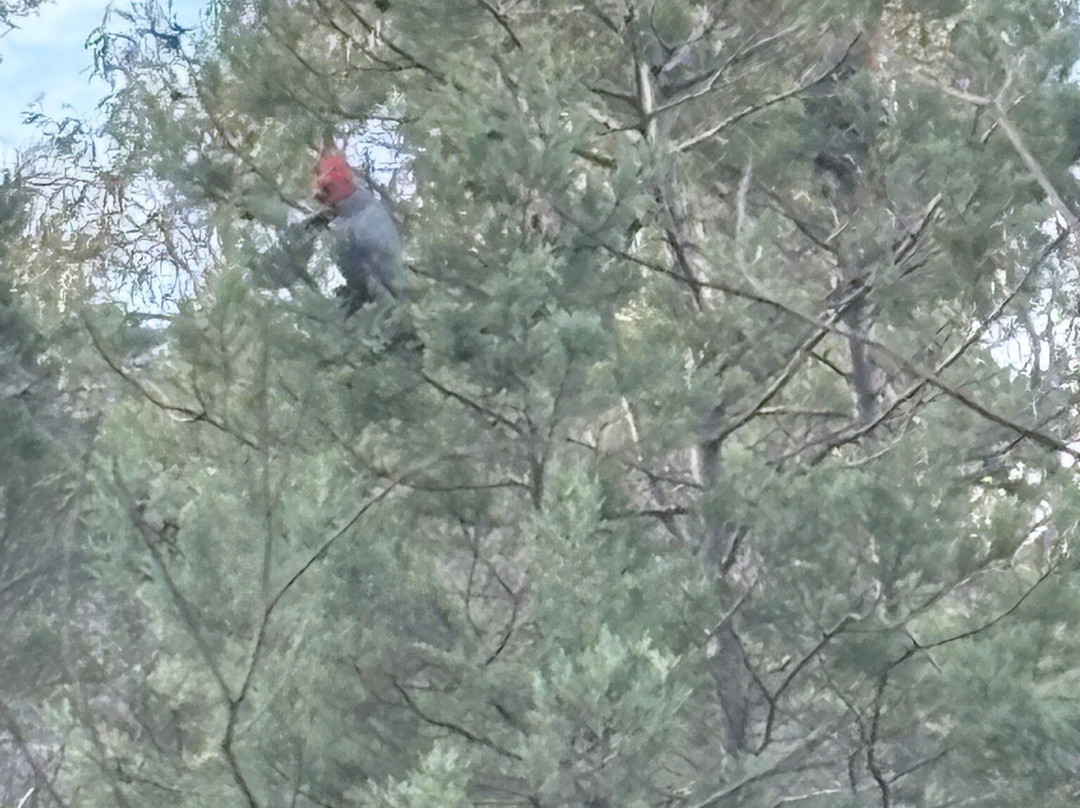 Chatauqua Peak-贺思盖必去景点