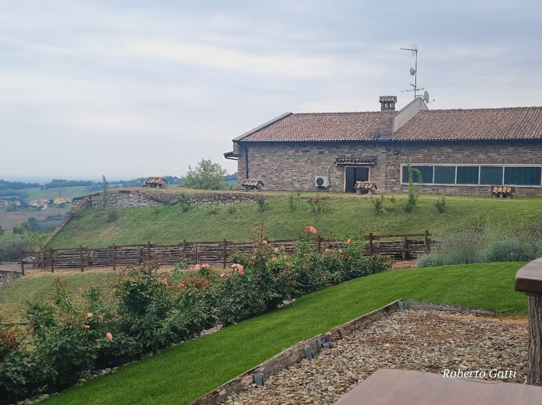 Cantina Il Poggio-萨尔索马焦雷泰尔梅必去景点