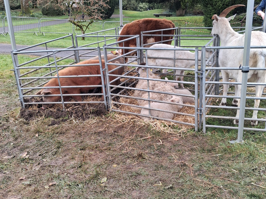 Belvedere House Gardens & Park-Mullingar必去景点