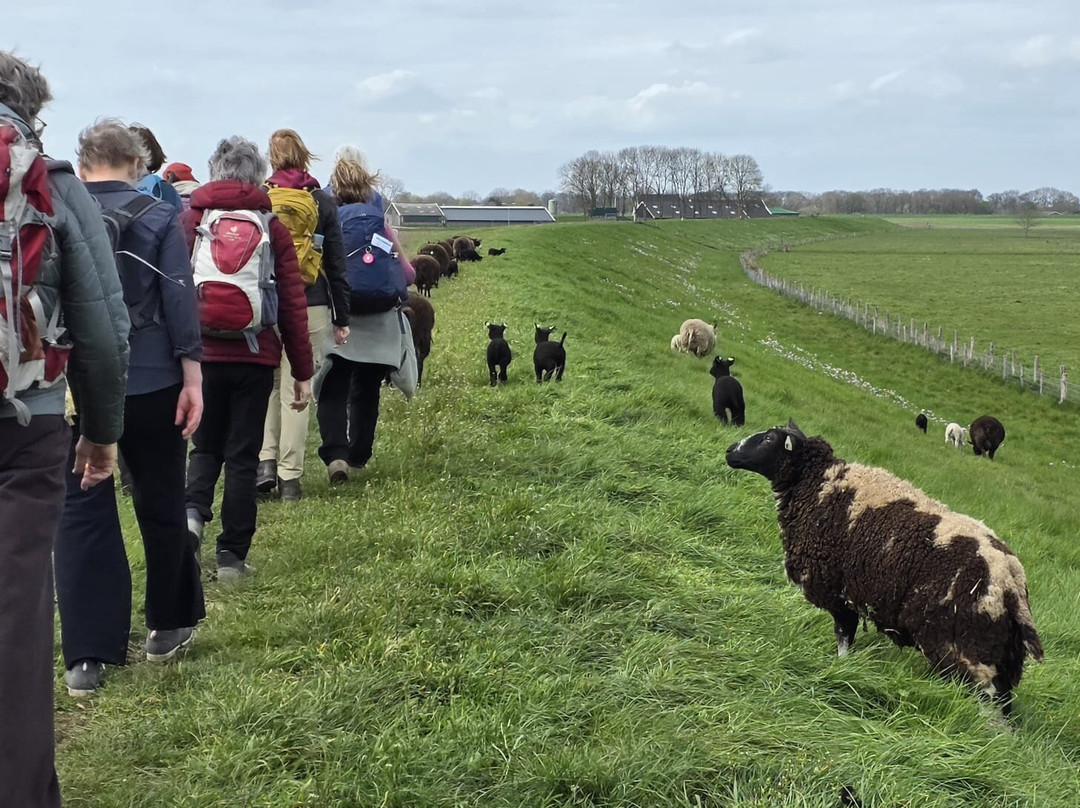 Hotel Restaurant de Keurvorst主图