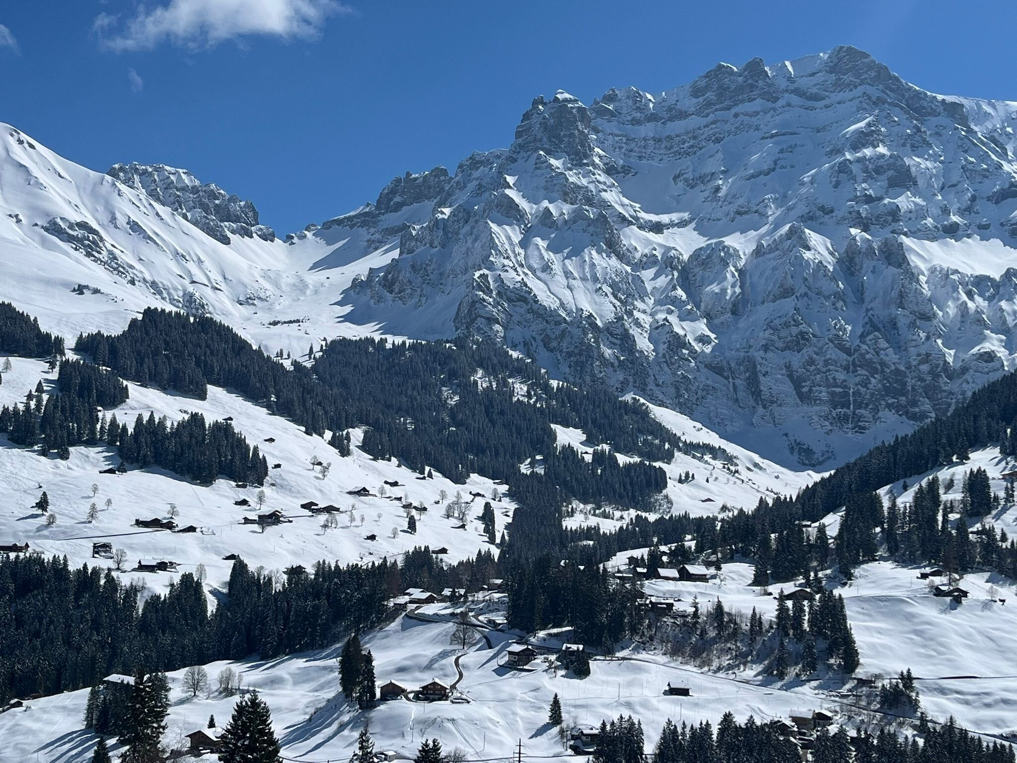 Hotel Hari im Schlegeli-酒店景观
