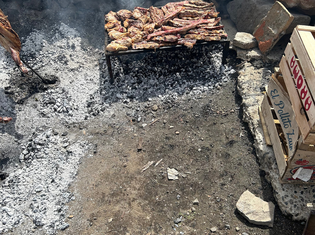 Hosteria Hualcupen Copahue主图