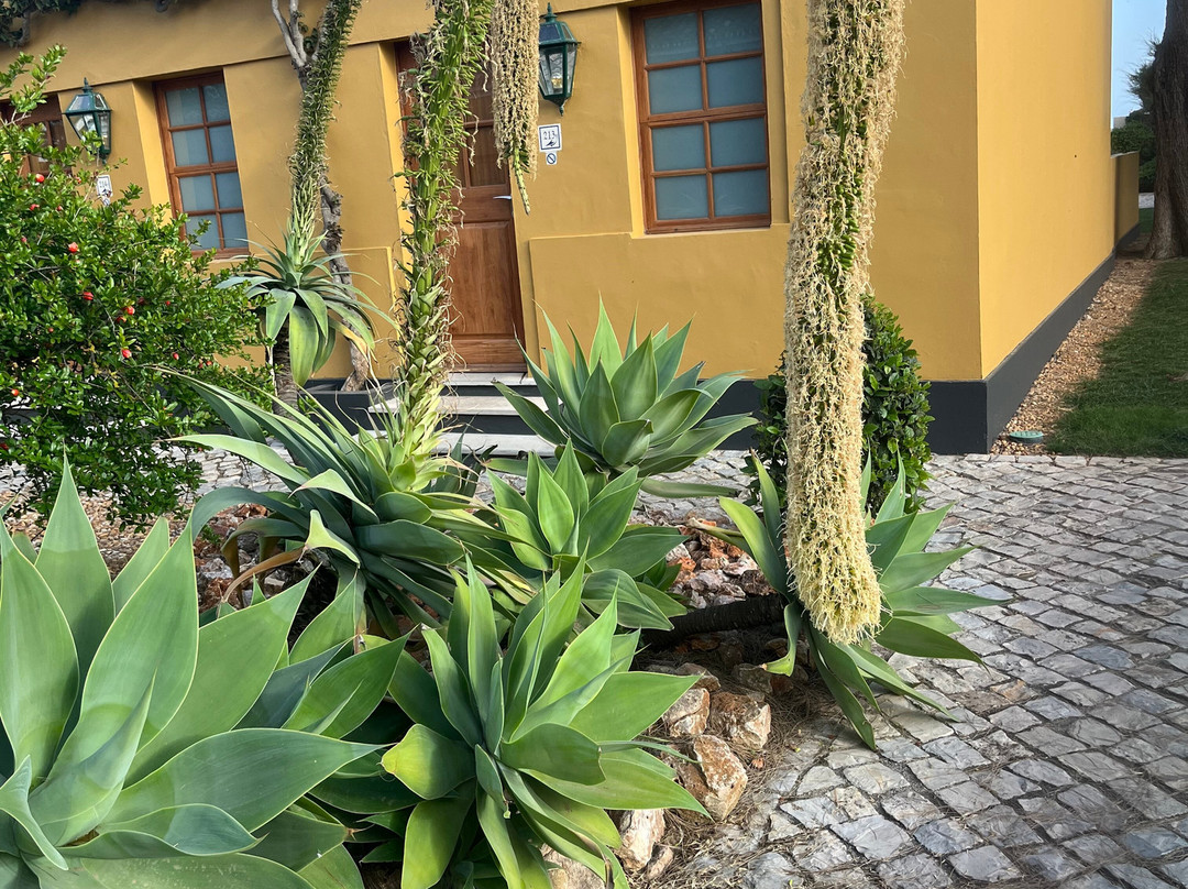 Vila Galé Albacora 生态海滩之旅主图