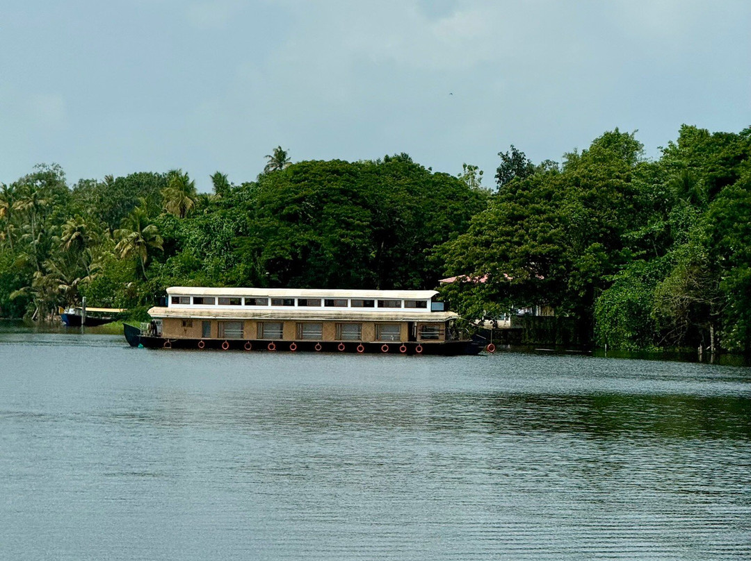 Bodhi Tree-柯钦必去景点