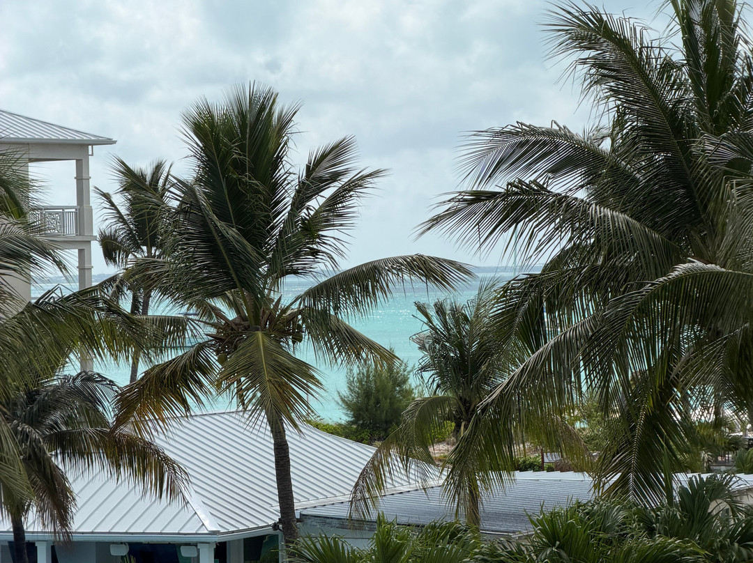 Alexandra Resort - All-inclusive主图