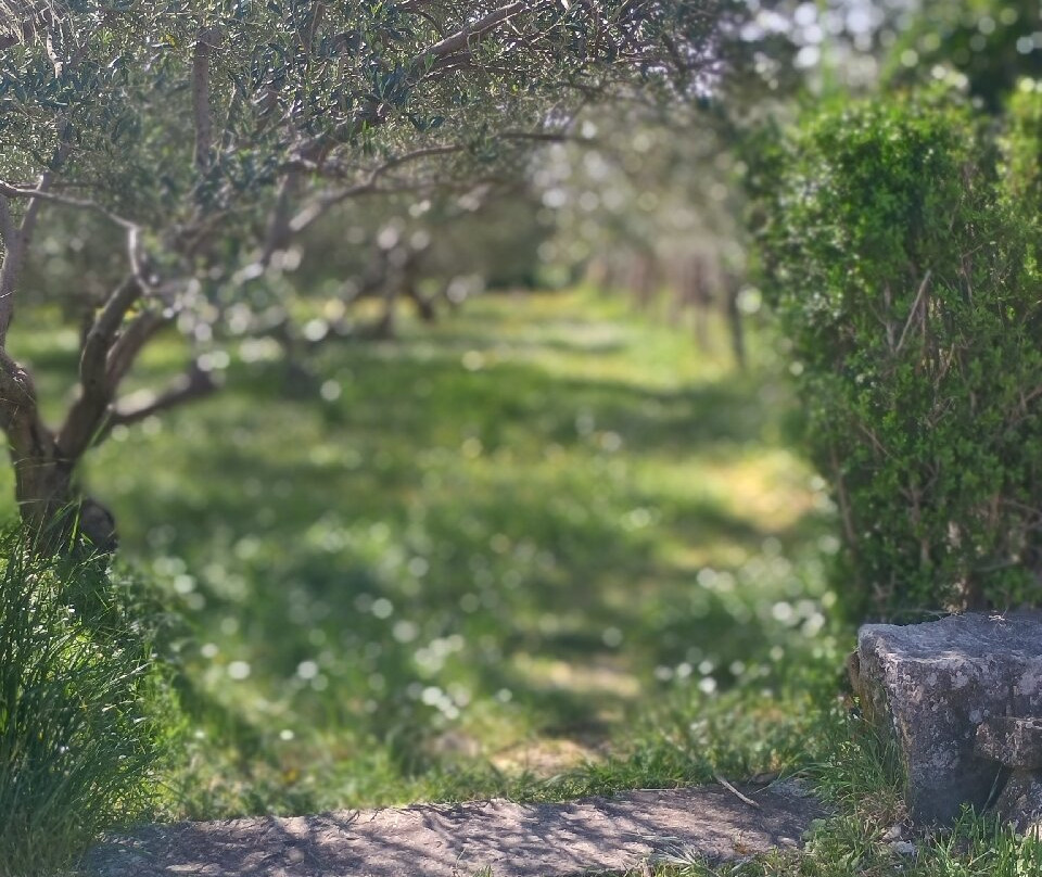 Ruins of the Solin Amphitheatre-Solin必去景点