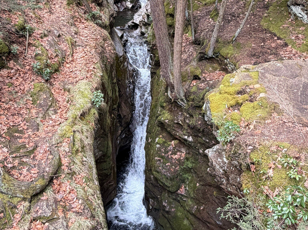 Seven Tubs Recreation Area-威尔克斯-巴里必去景点
