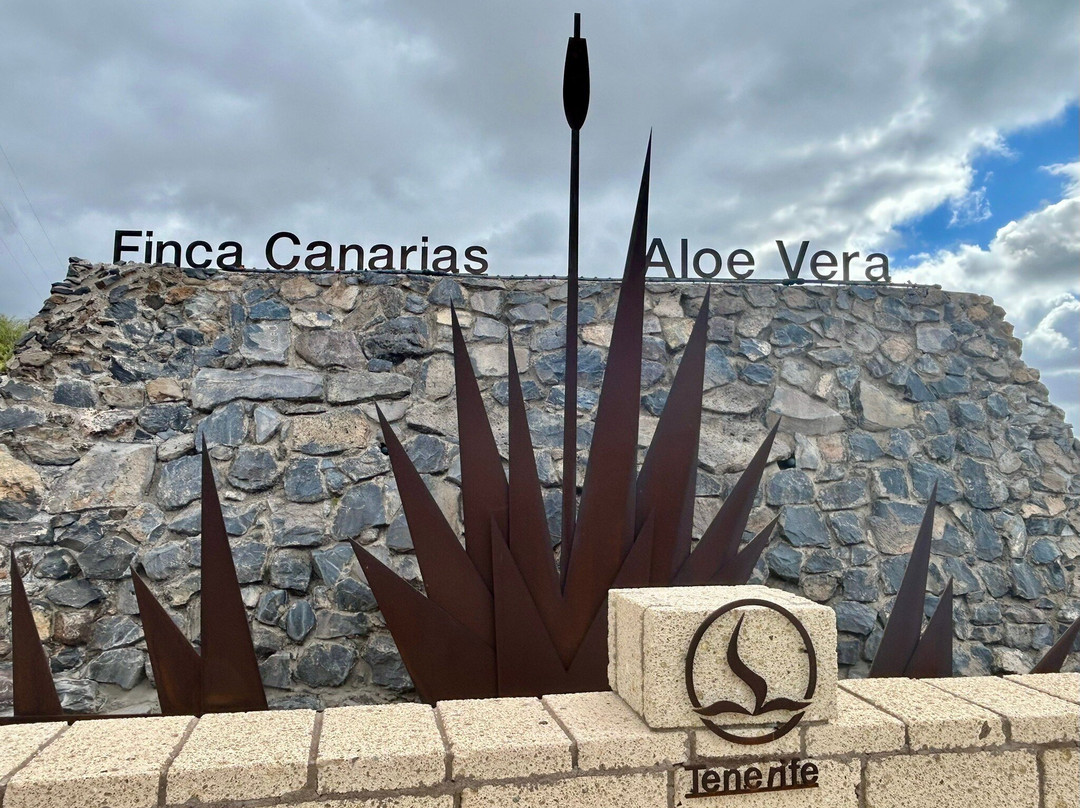 Finca Canarias Aloe Vera-Guimar必去景点