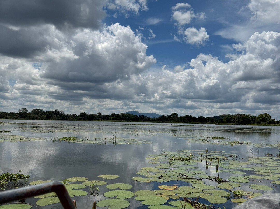 Compass Lanka Tours-Yakkala必去景点