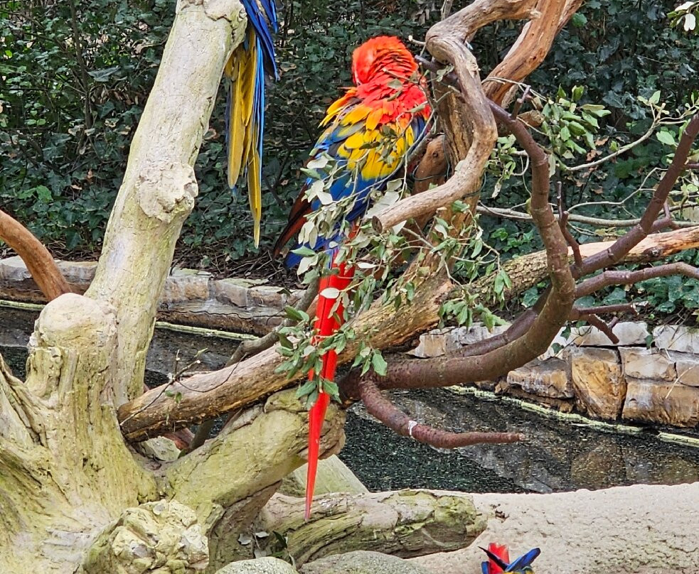 Zoo de La Palmyre-La Palmyre-Les Mathes必去景点