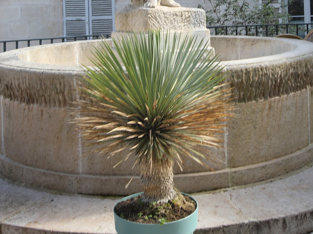 Fontaine à l'Enfant-多勒必去景点