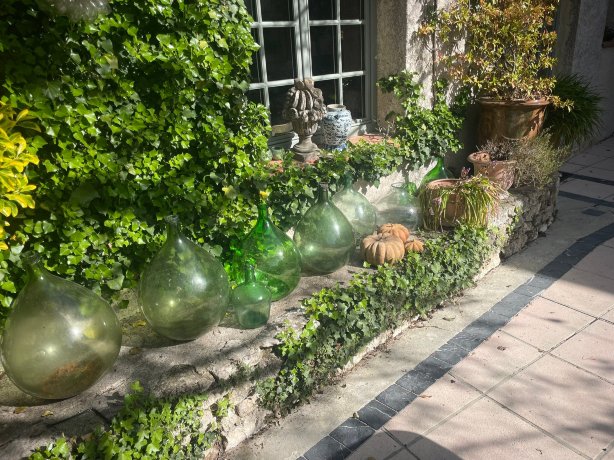 达姆斯博伊斯地区酒店-旅行者