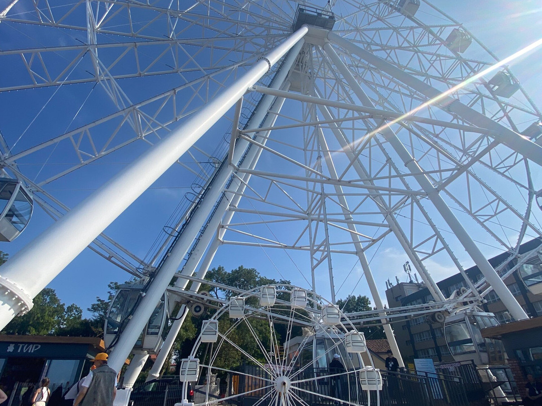 Ferris wheel "Eye of the Baltic"-泽列诺格拉茨克必去景点
