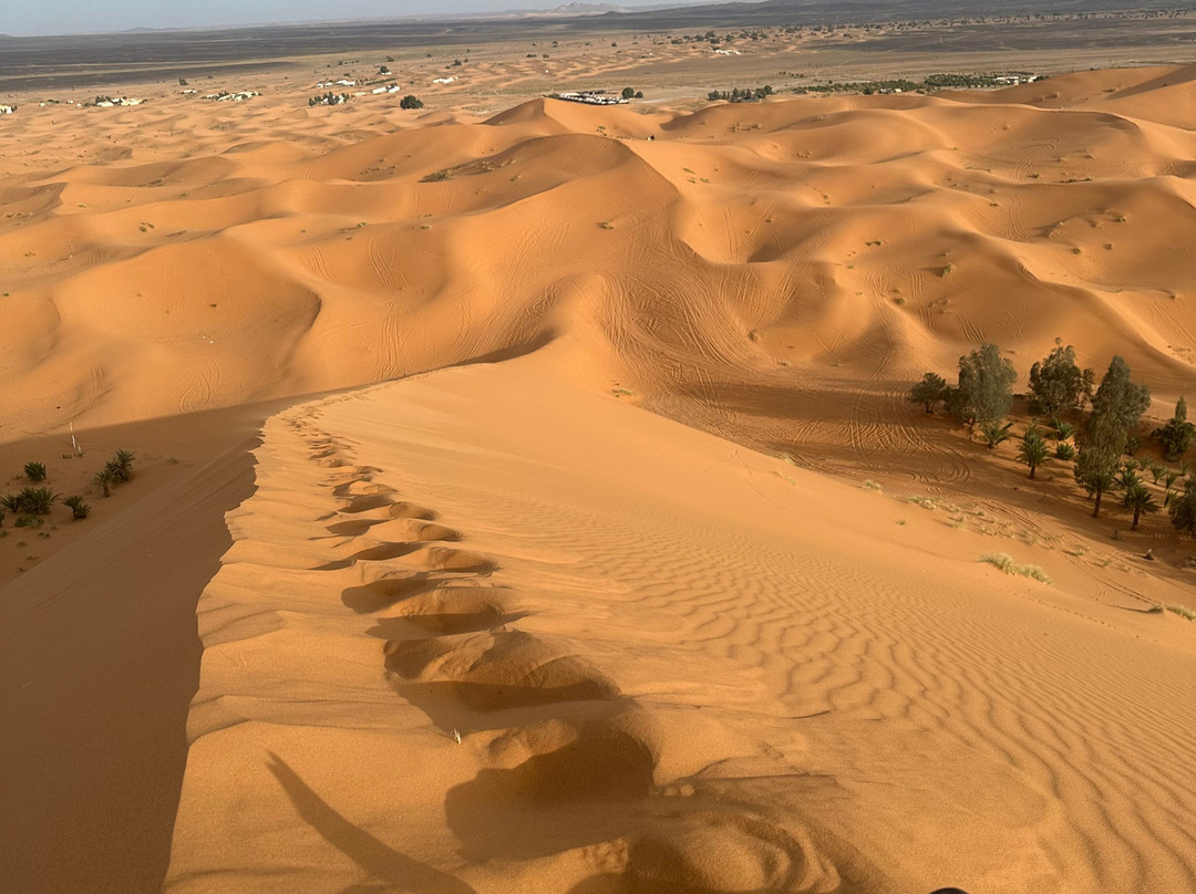 Private Morocco Driver-马拉喀什必去景点