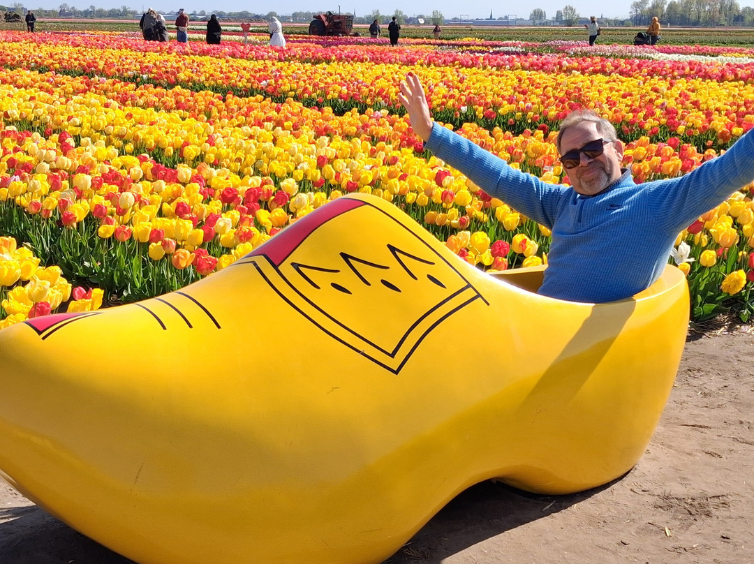 Tulip Experience Amsterdam-诺德韦克豪特必去景点