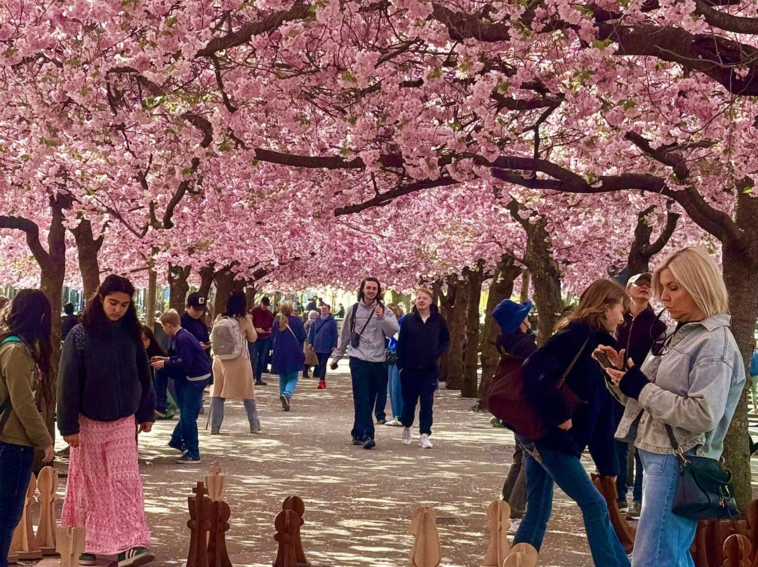 Kungsträdgården-斯德哥尔摩必去景点