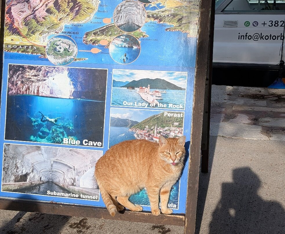 Montenegro Submarine & Kotor Speed Boat Tours-科托尔必去景点