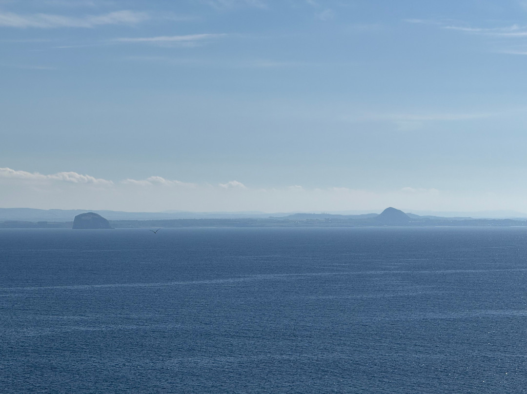 Anstruther Pleasure Cruises-Boat Day Tours-Anstruther必去景点