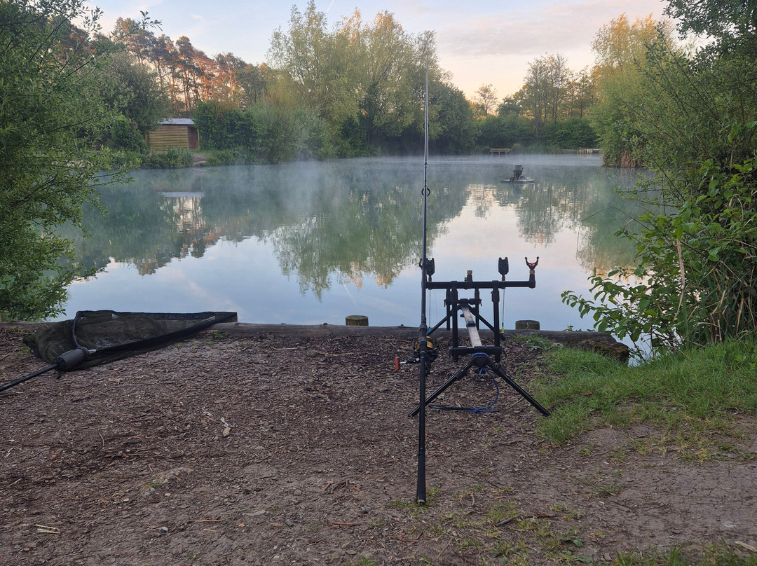 Alderwood Pond Fishing lakes-Steyning必去景点