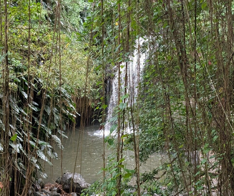 Annandale Falls-St. George's必去景点