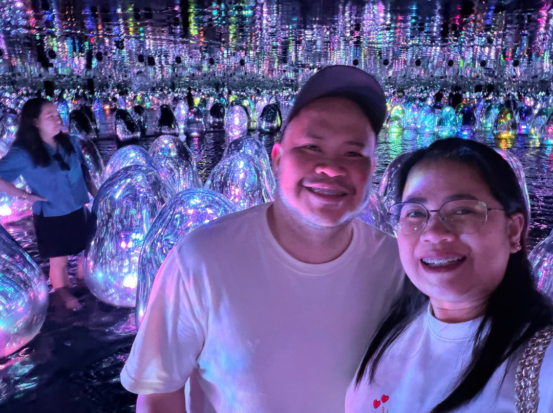 teamLab Phenomena Abu Dhabi-阿布扎比必去景点