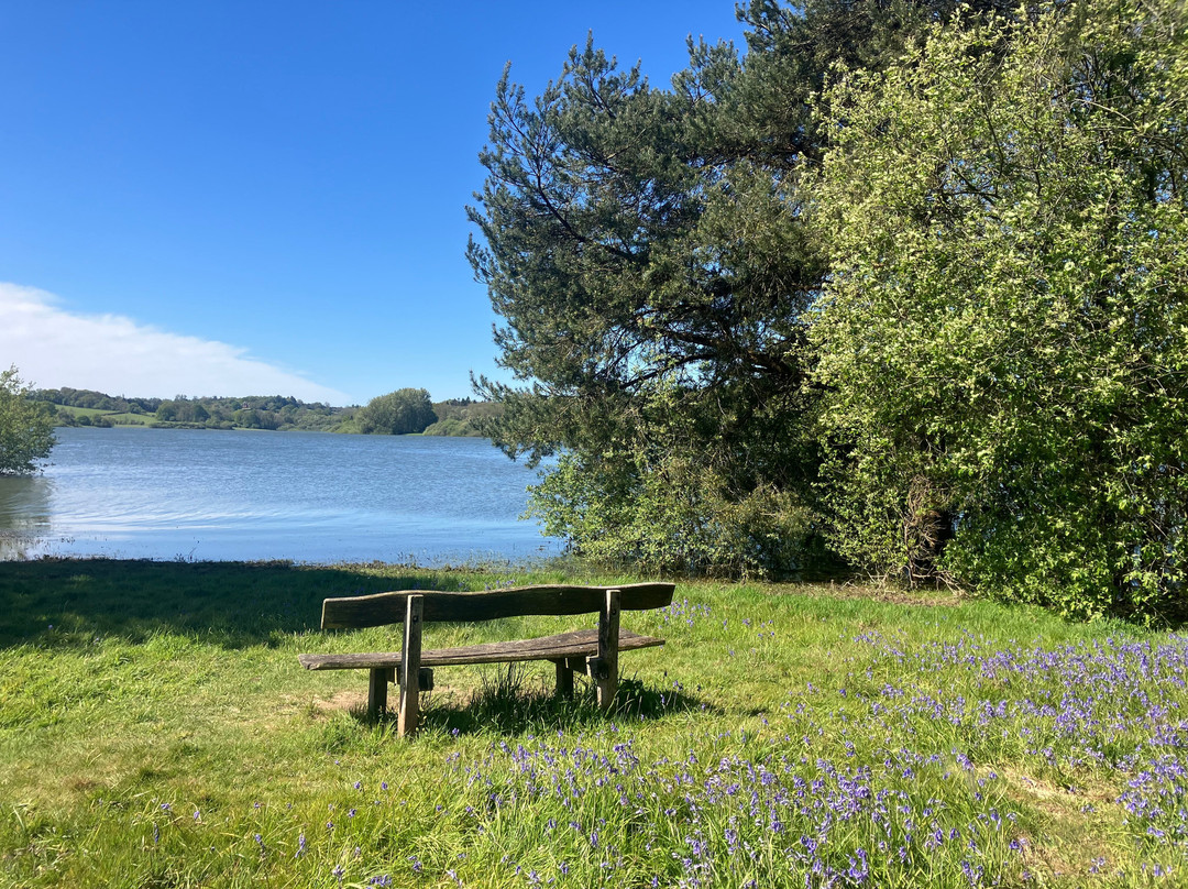 Bewl Water-Lamberhurst必去景点