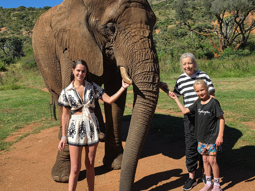 Elephant Sanctuary Hartbeesport Dam-哈特比斯普特必去景点