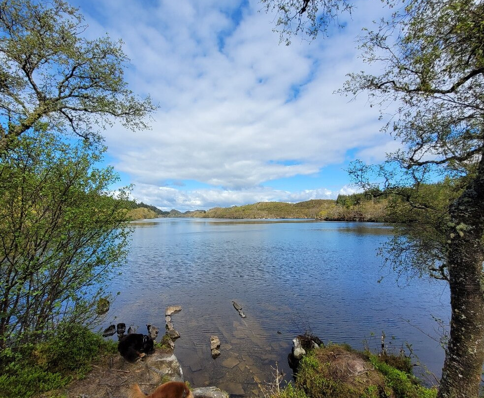 Argyll Beaver Centre-Lochgilphead必去景点