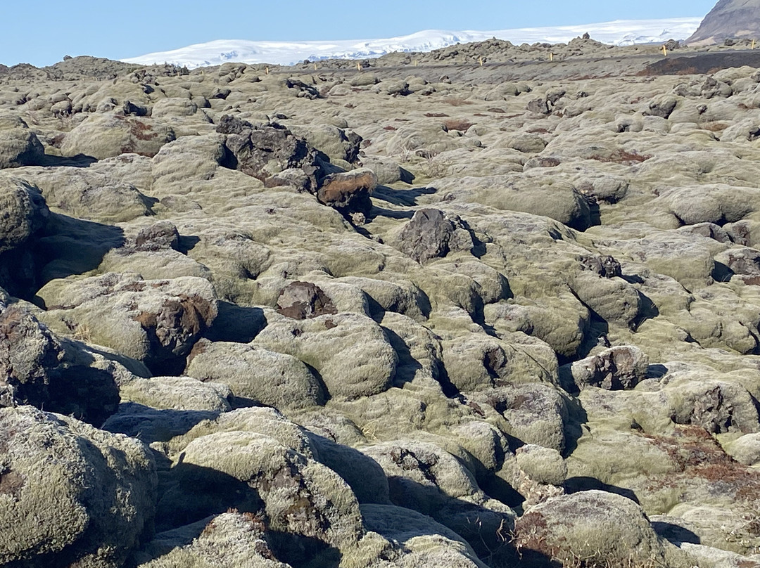 Eldhraun Lava Field-科克拜亚克劳斯特必去景点