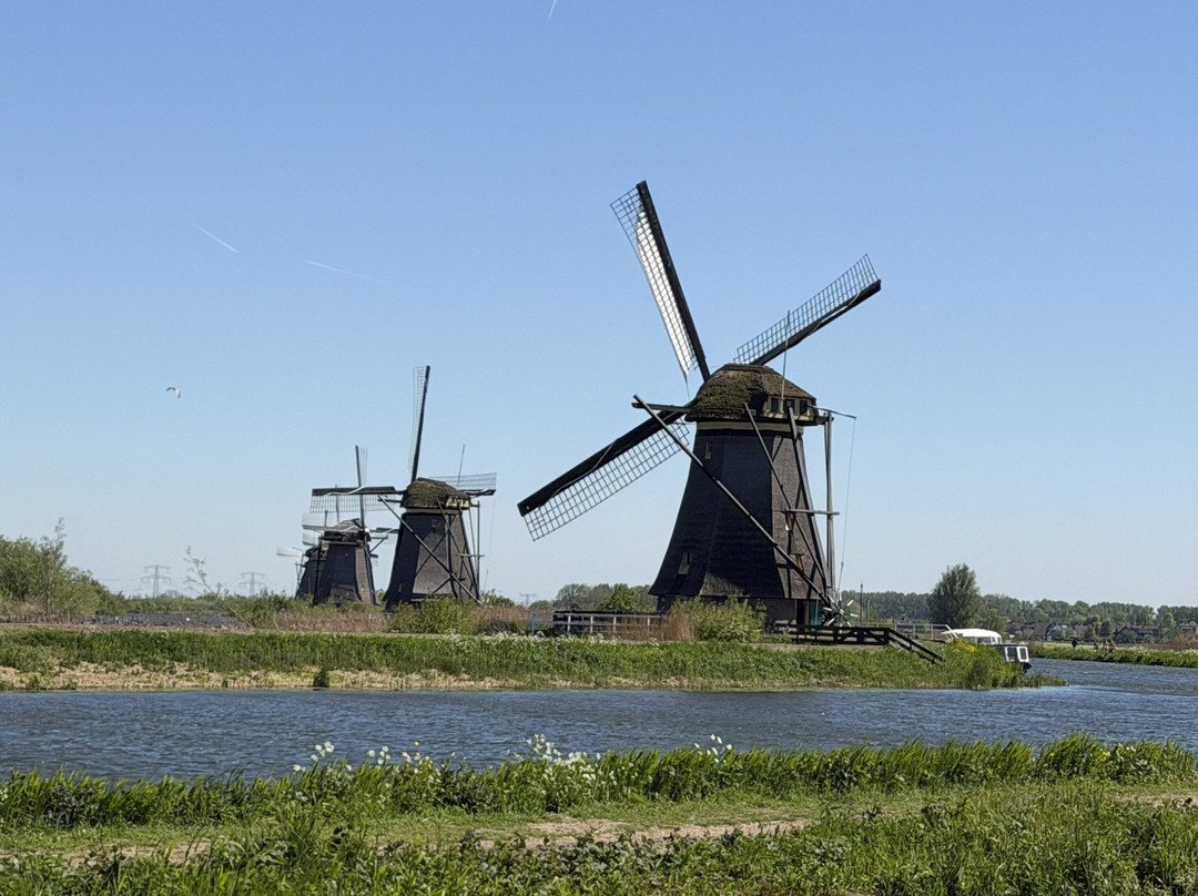 Holland Bike Tours-哈勒姆必去景点