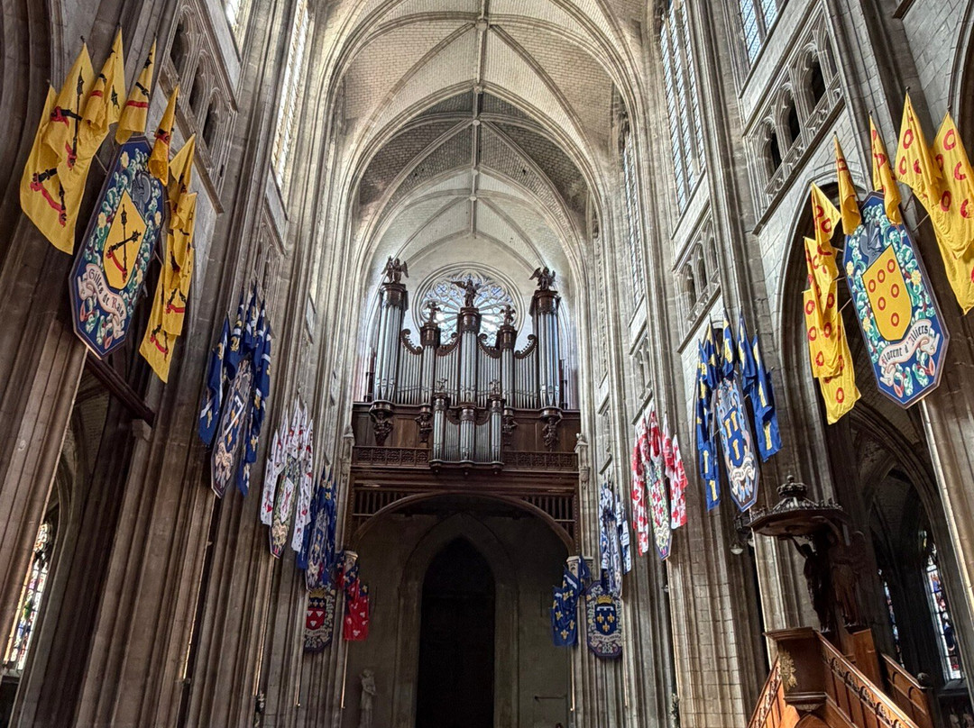 Cathédrale Sainte-Croix Orléans-奥尔良必去景点