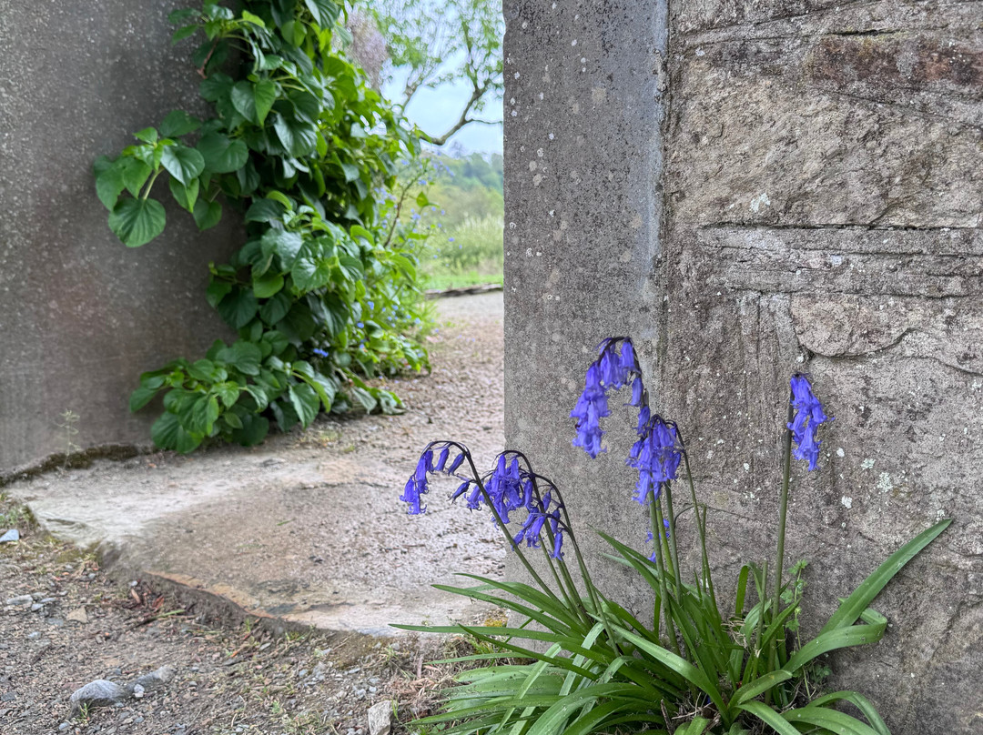 Mount Congreve Gardens-County Waterford必去景点