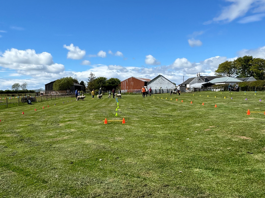 Craigbank Farm-Kilmarnock必去景点