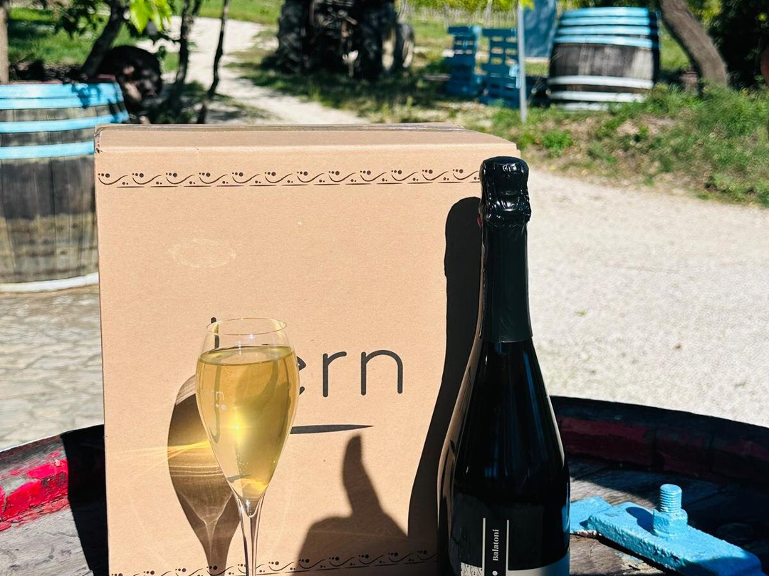 Kern Sparkart Champagne Terrace-Balatonszolos必去景点