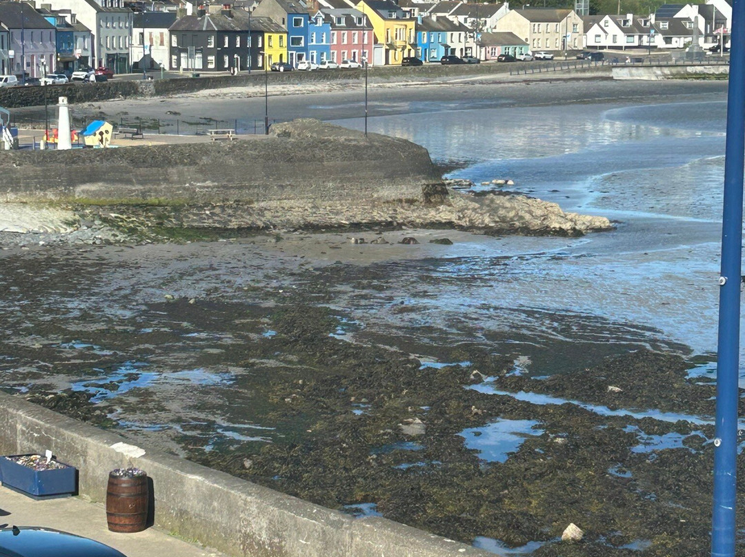 Donaghadee Harbour-Donaghadee必去景点