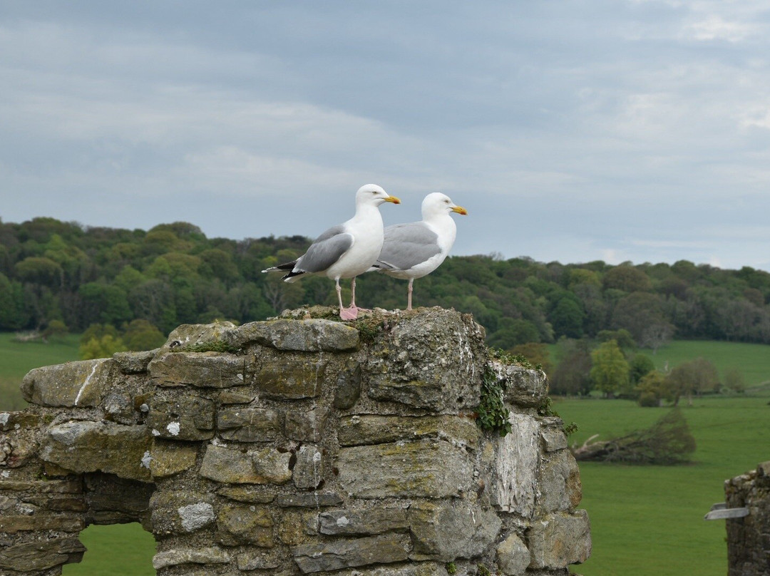 Beaumaris Castle-Beaumaris必去景点