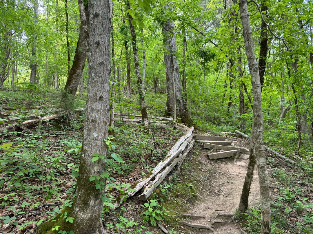 Harpeth River State Park-Kingston Springs必去景点