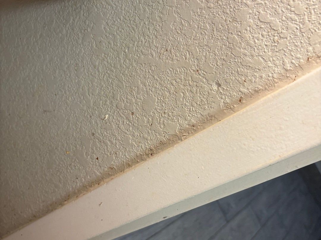 华盛顿地铁首都环带拉昆塔温德姆套房酒店主图