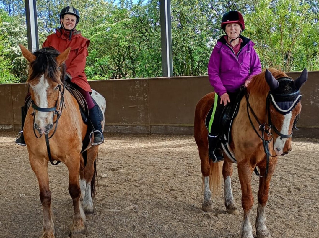 Cannock Chase Trekking Centre-Penkridge必去景点